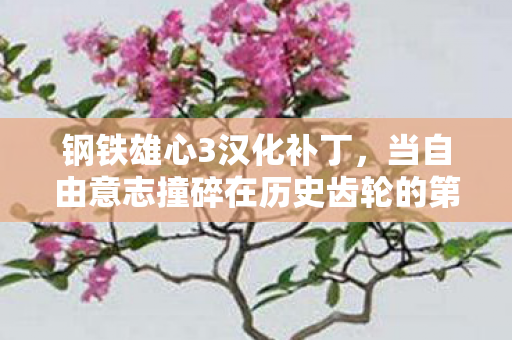 钢铁雄心3汉化补丁，当自由意志撞碎在历史齿轮的第三重悖论里
