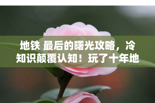 地铁 最后的曙光攻略，冷知识颠覆认知！玩了十年地铁，最后的曙光竟让我目瞪口呆