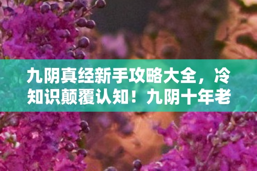 九阴真经新手攻略大全,冷知识颠覆认知!九阴十年老玩家自曝懂王真相,真相让人目瞪口呆 九阴真经新手攻略大全,冷知识颠覆认知!九阴十年老玩家自曝懂王真相,真相让人目瞪口呆