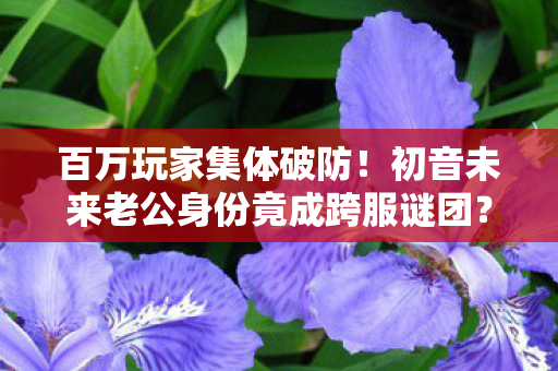 百万玩家集体破防！初音未来老公身份竟成跨服谜团？