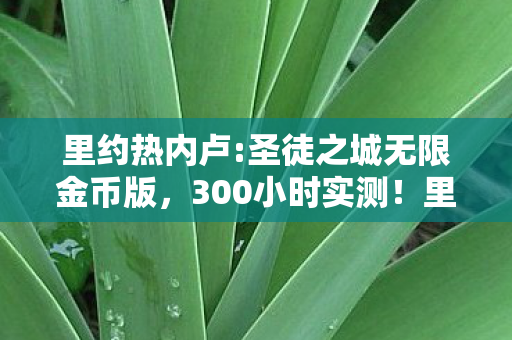 里约热内卢:圣徒之城无限金币版，300小时实测！里约圣徒之城竟藏着99%玩家不知的暗黑进化链