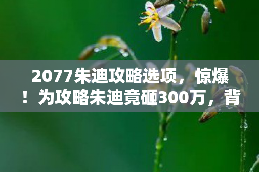 2077朱迪攻略选项，惊爆！为攻略朱迪竟砸300万，背后隐情曝光，结果让人吓一跳！
