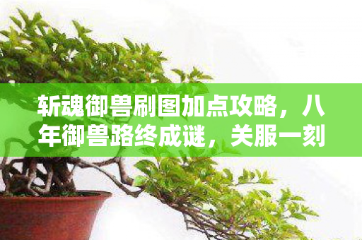 斩魂御兽刷图加点攻略，八年御兽路终成谜，关服一刻泪目空留