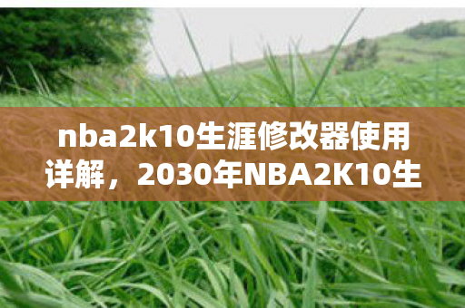 nba2k10生涯修改器使用详解，2030年NBA2K10生涯修改器，那些年未改的约定，鼻子一酸终成回忆