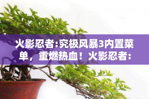 火影忍者:究极风暴3内置菜单，重燃热血！火影忍者:究极风暴310大必玩场景，错过再等十年？