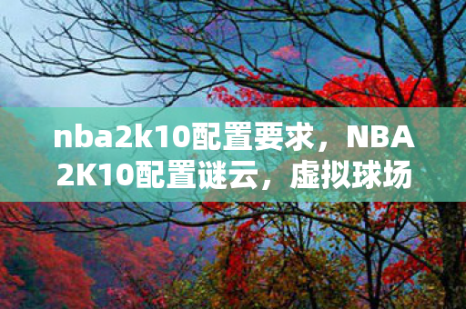 nba2k10配置要求，NBA2K10配置谜云，虚拟球场血案，毛骨悚然自掘坟墓之悬案