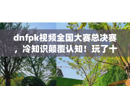 dnfpk视频全国大赛总决赛，冷知识颠覆认知！玩了十年DNF的我看完PK赛视频后目瞪口呆