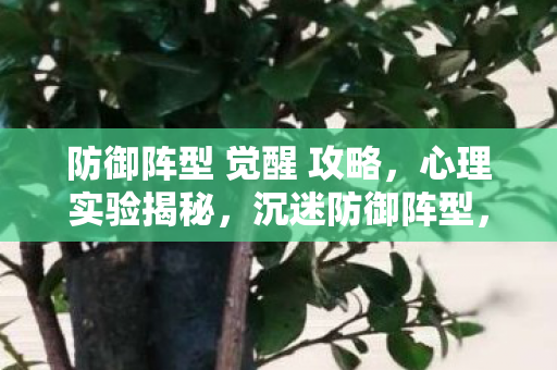 防御阵型 觉醒 攻略，心理实验揭秘，沉迷防御阵型，觉醒的细思极恐自我麻醉