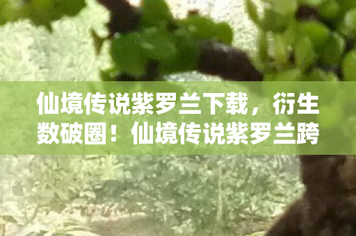 仙境传说紫罗兰下载，衍生数破圈！仙境传说紫罗兰跨界联名，意想不到的潮流风暴来袭