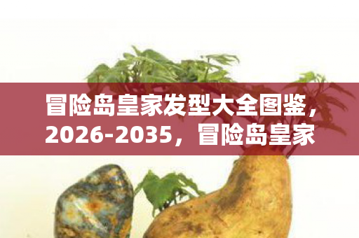 冒险岛皇家发型大全图鉴，2026-2035，冒险岛皇家发型十年巨变，背后藏着什么惊人秘密？