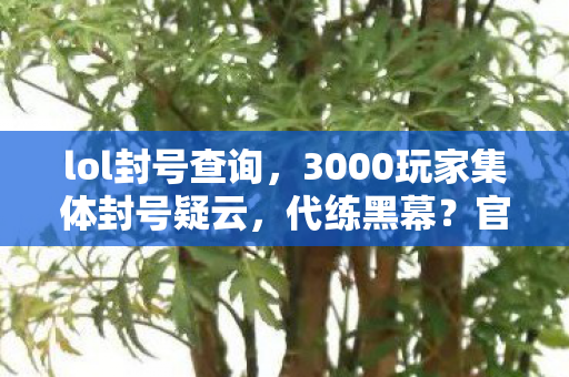 lol封号查询,3000玩家集体封号疑云,代练黑幕?官方甩锅?老炮当场笑崩! lol封号查询,3000玩家集体封号疑云,代练黑幕?官方甩锅?老炮当场笑崩!