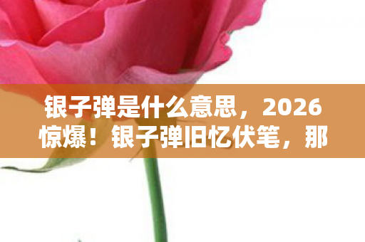 银子弹是什么意思,2026惊爆!银子弹旧忆伏笔,那些过往,鼻子一酸怎敢再触碰 银子弹是什么意思,2026惊爆!银子弹旧忆伏笔,那些过往,鼻子一酸怎敢再触碰
