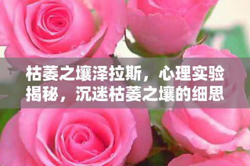 枯萎之壤泽拉斯,心理实验揭秘,沉迷枯萎之壤的细思极恐自我麻醉之旅 枯萎之壤泽拉斯,心理实验揭秘,沉迷枯萎之壤的细思极恐自我麻醉之旅