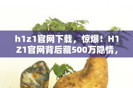 h1z1官网下载，惊爆！H1Z1官网背后藏500万隐情，离职老兵一抖料吓你一跳！