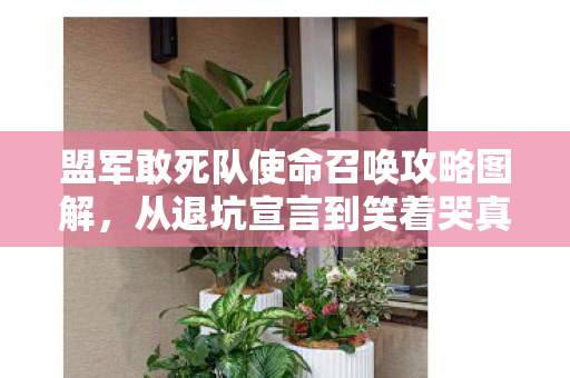 盟军敢死队使命召唤攻略图解,从退坑宣言到笑着哭真相,盟军敢死队,我终究还是栽了! 盟军敢死队使命召唤攻略图解,从退坑宣言到笑着哭真相,盟军敢死队,我终究还是栽了!