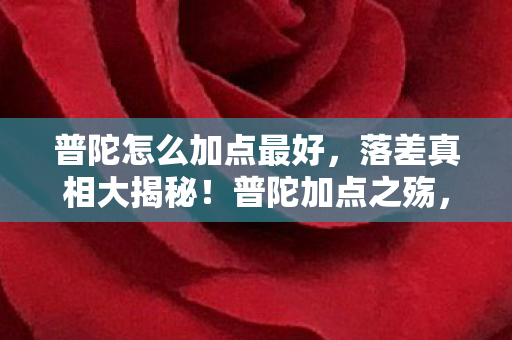 普陀怎么加点最好,落差真相大揭秘!普陀加点之殇,笑着笑着,泪已决堤 普陀怎么加点最好,落差真相大揭秘!普陀加点之殇,笑着笑着,泪已决堤