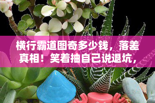 横行霸道图奇多少钱,落差真相!笑着抽自己说退坑,笑着笑着却哭了——横行霸道图奇之殇 横行霸道图奇多少钱,落差真相!笑着抽自己说退坑,笑着笑着却哭了——横行霸道图奇之殇