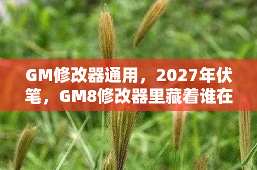 GM修改器通用，2027年伏笔，GM8修改器里藏着谁在凌晨三点说等你，鼻子一酸才懂