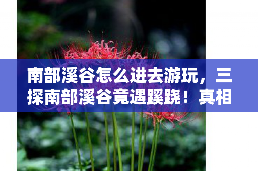 南部溪谷怎么进去游玩，三探南部溪谷竟遇蹊跷！真相揭晓瞬间后背发凉