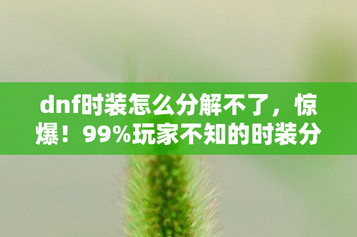 dnf时装怎么分解不了，惊爆！99%玩家不知的时装分解隐藏暴富密码，错过再等十年！