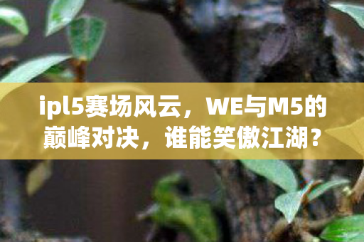 ipl5赛场风云，WE与M5的巅峰对决，谁能笑傲江湖？