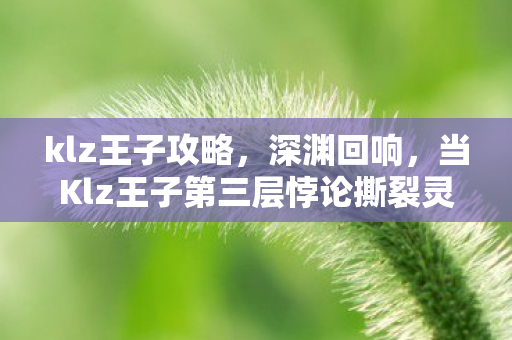 klz王子攻略,深渊回响,当Klz王子第三层悖论撕裂灵魂震颤的抉择时刻 klz王子攻略,深渊回响,当Klz王子第三层悖论撕裂灵魂震颤的抉择时刻