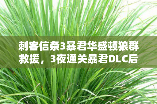 刺客信条3暴君华盛顿狼群救援，3夜通关暴君DLC后，我砸了键盘，华盛顿的鹰旗下藏着多少玩家的血泪？