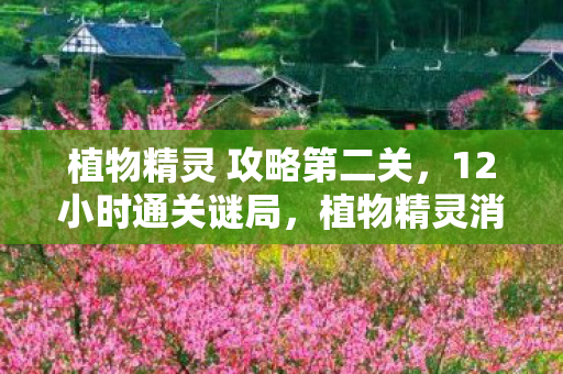 植物精灵 攻略第二关，12小时通关谜局，植物精灵消亡倒计时，最后3秒泪目真相曝光