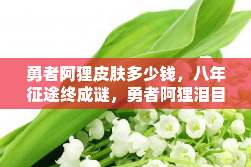 勇者阿狸皮肤多少钱，八年征途终成谜，勇者阿狸泪目谢幕，我们的青春谁买单？