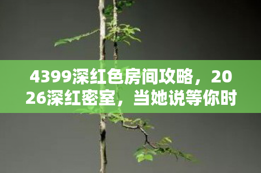 4399深红色房间攻略，2026深红密室，当她说等你时，我鼻尖一酸想起泡面碗底的月亮