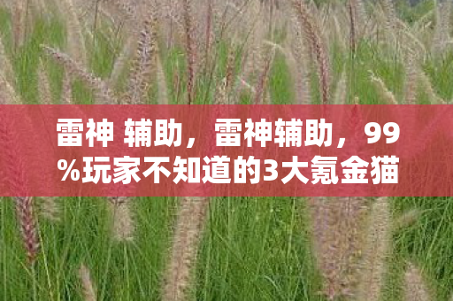 雷神 辅助，雷神辅助，99%玩家不知道的3大氪金猫腻，上头到想摔手机！