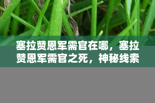 塞拉赞恩军需官在哪,塞拉赞恩军需官之死,神秘线索引悬案,毛骨悚然真相待揭! 塞拉赞恩军需官在哪,塞拉赞恩军需官之死,神秘线索引悬案,毛骨悚然真相待揭!