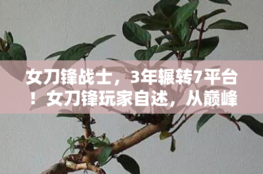女刀锋战士，3年辗转7平台！女刀锋玩家自述，从巅峰到低谷的辛酸路