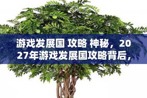 游戏发展国 攻略 神秘，2027年游戏发展国攻略背后，那些渐远身影，鼻子一酸忆往昔