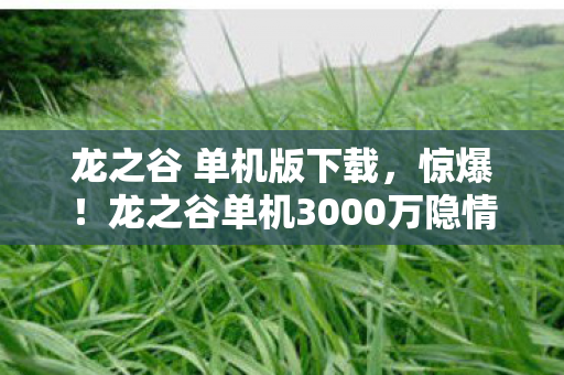 龙之谷 单机版下载，惊爆！龙之谷单机3000万隐情曝光，会议室争吵真相让人吓一跳！