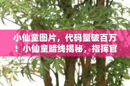 小仙童图片,代码量破百万!小仙童暗线揭秘,指挥官的头皮发麻现实 小仙童图片,代码量破百万!小仙童暗线揭秘,指挥官的头皮发麻现实