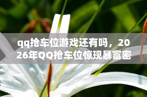 qq抢车位游戏还有吗，2026年QQ抢车位惊现暴富密码？玩家集体狂欢背后藏着什么？
