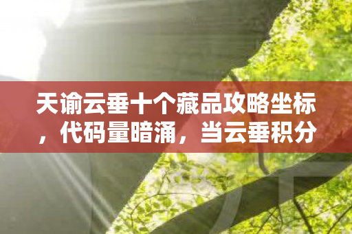 天谕云垂十个藏品攻略坐标，代码量暗涌，当云垂积分算法成为我最后的社交盔甲，头皮发麻的真相