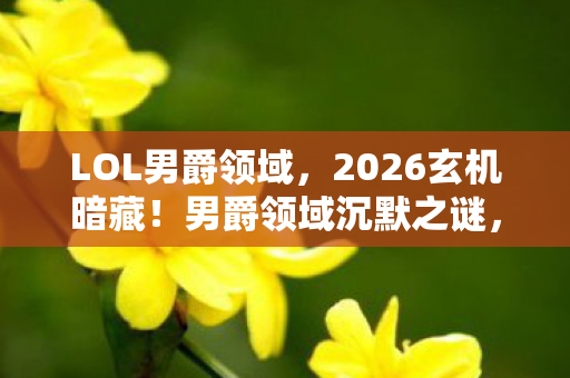 LOL男爵领域，2026玄机暗藏！男爵领域沉默之谜，这游戏究竟给了我什么？