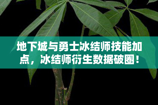 地下城与勇士冰结师技能加点，冰结师衍生数据破圈！当DNF技能树撞上意想不到的潮流宇宙
