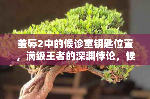 羞辱2中的候诊室钥匙位置，满级王者的深渊悖论，候诊室钥匙锁住的，是办公室里腐烂的灵魂
