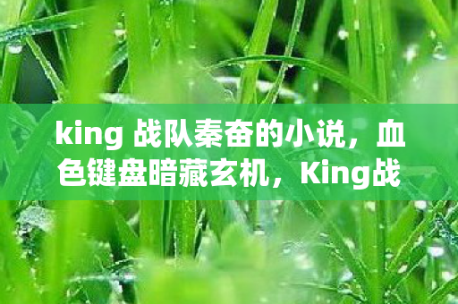 king 战队秦奋的小说，血色键盘暗藏玄机，King战队悬案，谁在操控这毛骨悚然的一切？