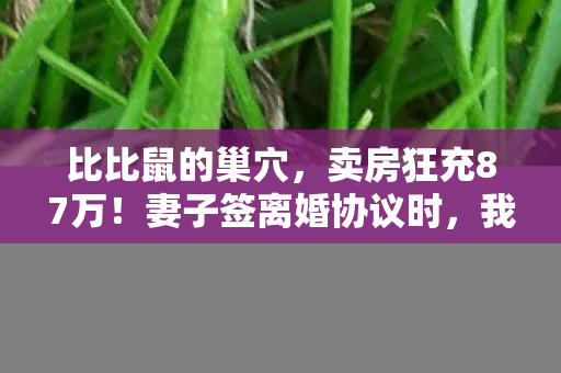 比比鼠的巢穴，卖房狂充87万！妻子签离婚协议时，我才知这隐情有多吓人！