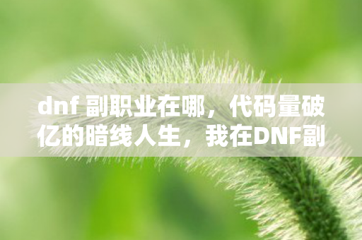 dnf 副职业在哪，代码量破亿的暗线人生，我在DNF副职业里活成了头皮发麻的赛博原住民