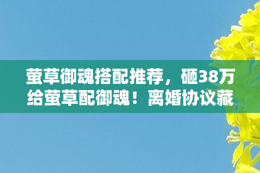 萤草御魂搭配推荐，砸38万给萤草配御魂！离婚协议藏惊天隐情，老婆看到账单吓懵了