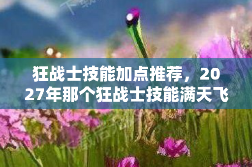 狂战士技能加点推荐，2027年那个狂战士技能满天飞的夏天，伏笔藏了十年，如今想起鼻子一酸