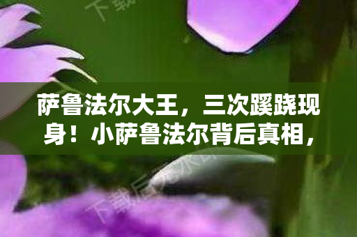 萨鲁法尔大王，三次蹊跷现身！小萨鲁法尔背后真相，让资深玩家后背发凉