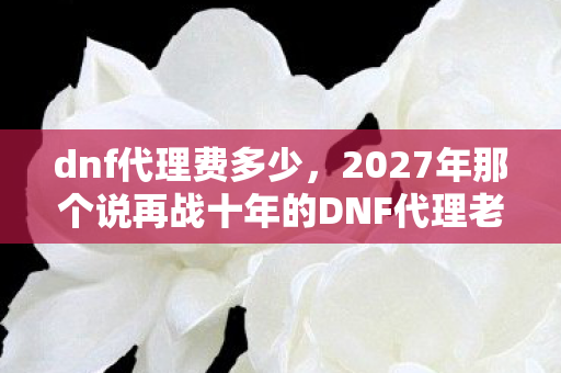 dnf代理费多少，2027年那个说再战十年的DNF代理老友，如今你头像灰得让我鼻子一酸
