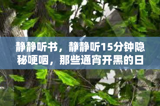 静静听书，静静听15分钟隐秘哽咽，那些通宵开黑的日子，怎么突然就散场了？