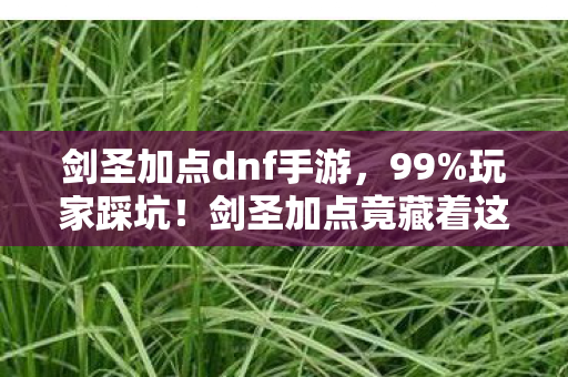 剑圣加点dnf手游，99%玩家踩坑！剑圣加点竟藏着这3个逆天隐藏机制？